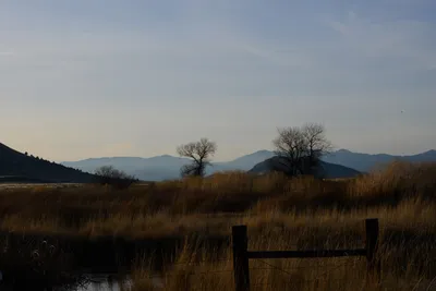 DSC_3068 (Large).JPG